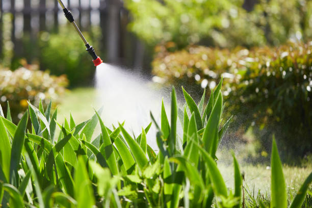 24/7 Emergency Ant Control experts in Port Reading, NJ