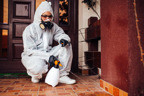 Reliable Ant Control contractor in Port Reading, NJ by Nex Pest Control