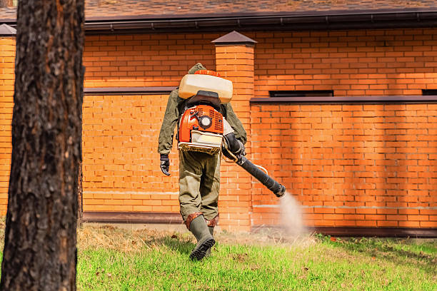 Trusted Mosquito Control service in Port Reading, NJ - Nex Pest Control